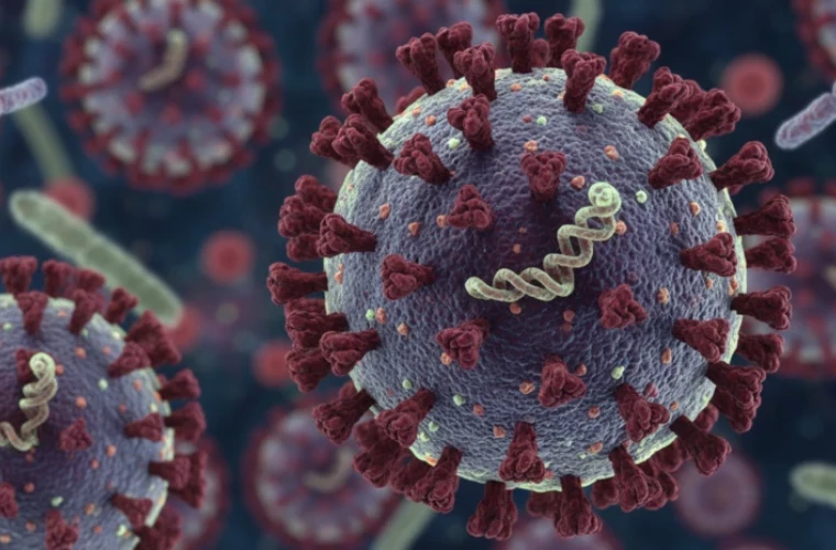 Hantavirus