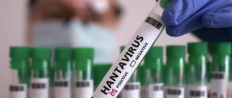 Новый вирус hantavirus