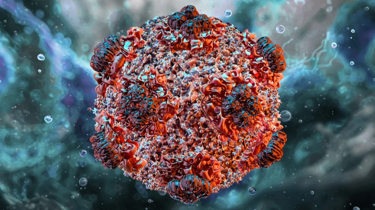 hantavirus сколько заражено